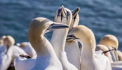 普洱最新的高价医保个人账户余额微信查询方法分享(普洱医保查询个人账户明细怎么查微信教程)