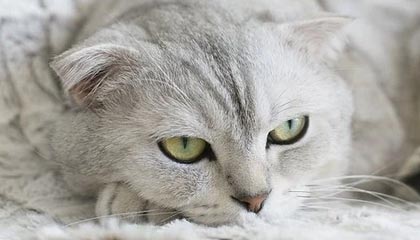 普洱最新的高价医保个人账户余额微信查询方法分享(普洱医保查询个人账户明细怎么查微信教程)