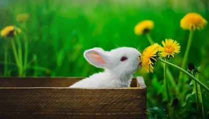 普洱最新的高价医保个人账户余额微信查询方法分享(普洱医保查询个人账户明细怎么查微信教程)